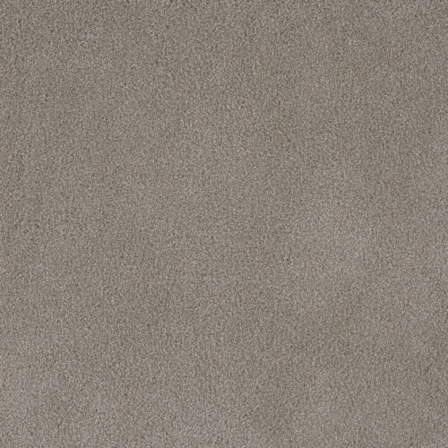 PALMETTO I