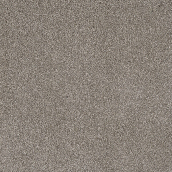 1678808284.1280.1280 PALMETTO I