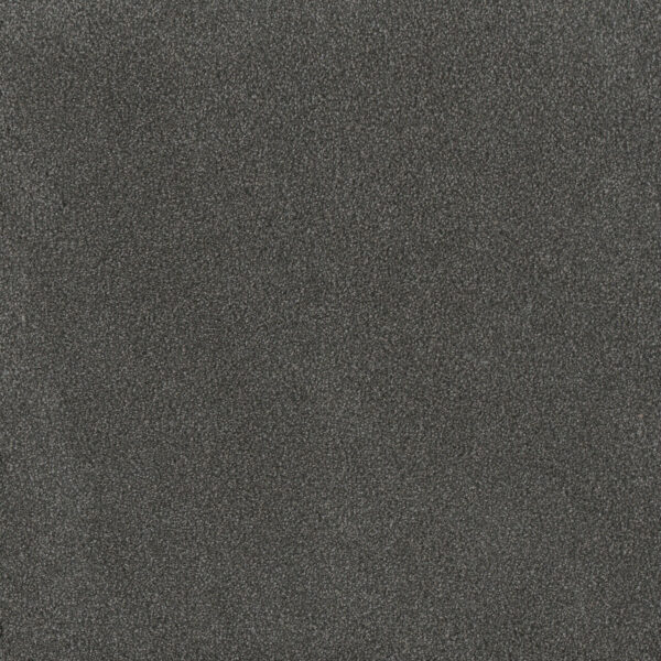 2732_2138__32843.1678808089.1280.1280__28137.1678808377.1280.1280 PALMETTO II