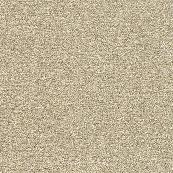 BREAKVIEW III
