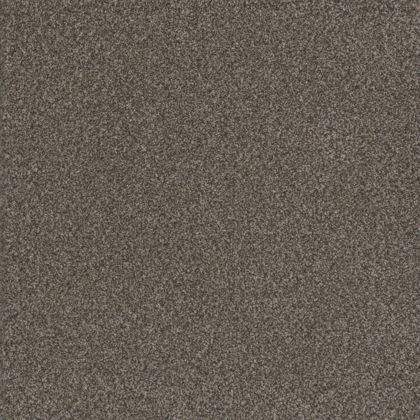 4965_150__57392.1659127313.1280.1280__39232.1659127437.1280.1280 TITAN II