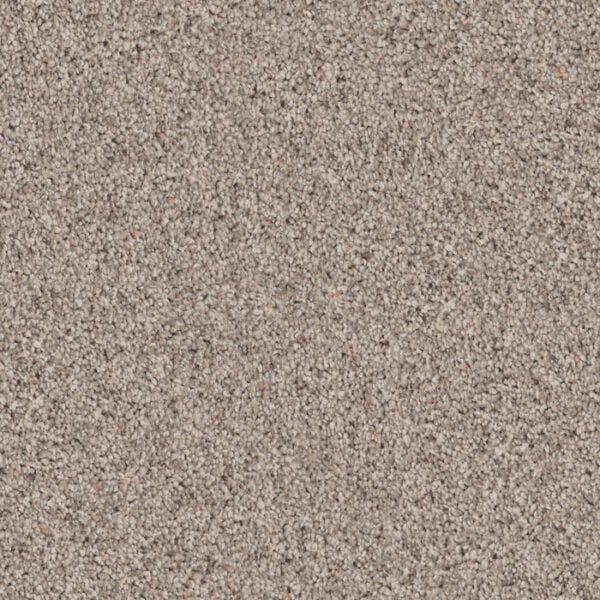 Admiration in Granite
