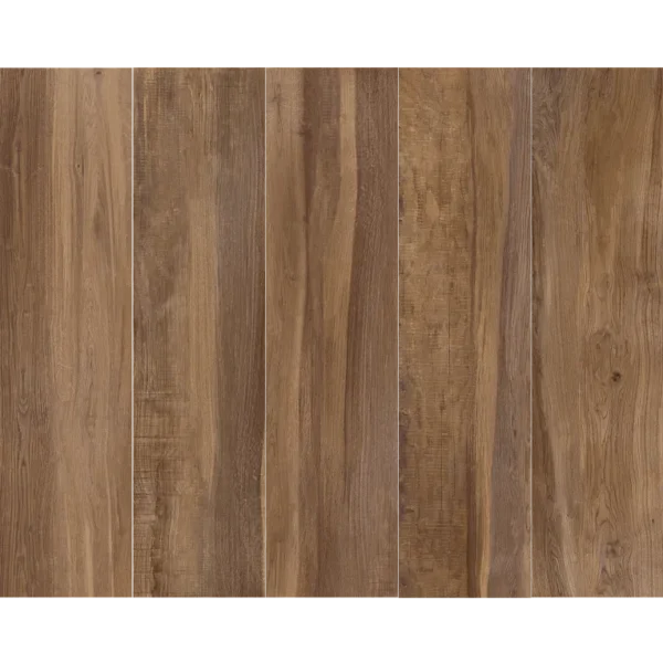 Aequa-Castor-8x32-variation Aequa Castor