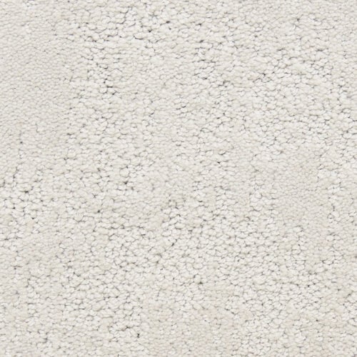 Attributes in Powder