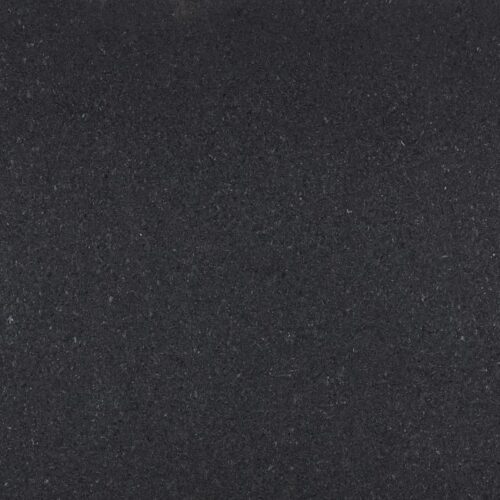 CAMBRIAN BLACK