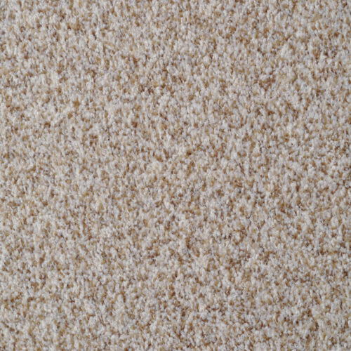 Bombay_40220_241_da6ca124-5f56-445f-a1ba-aad969bf0379_700x700 Bombay in Oatmeal