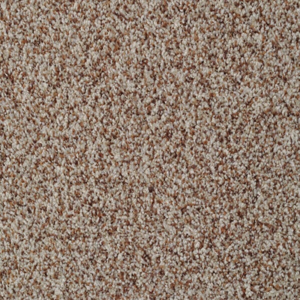 Bombay_40220_345_5b4752a3-20dd-40db-9054-5f25dc34f1e6_700x700 Bombay in Pinebark