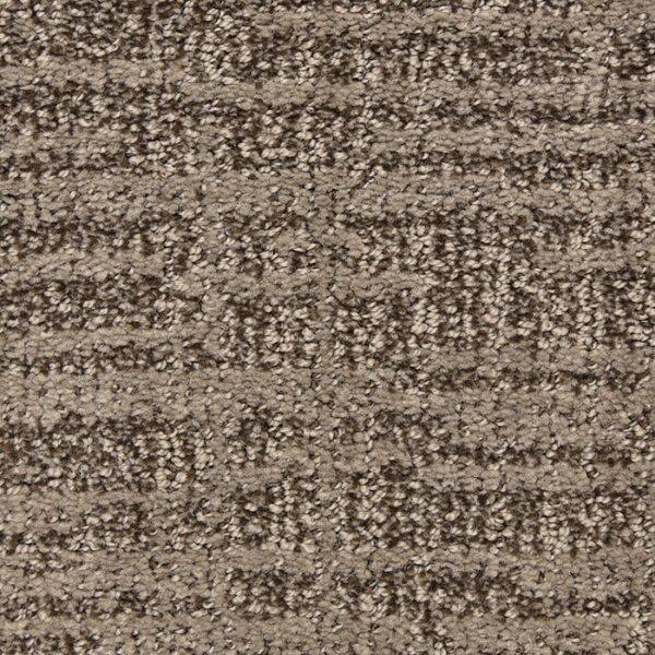Expressions in Museum
