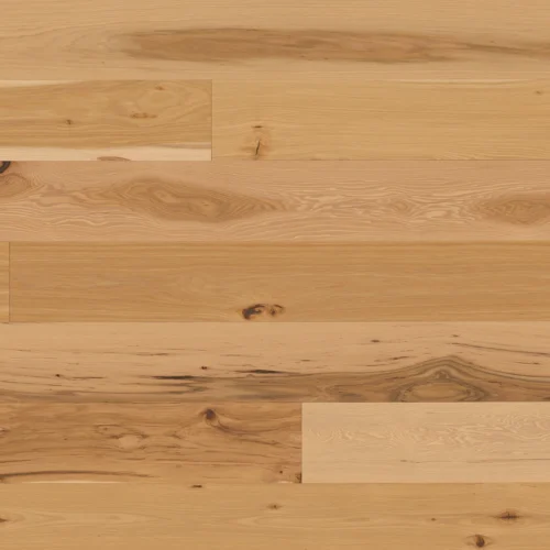 HICKORY LIGHT
