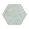 Icon Silver