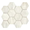 Invictus Vein Cut Ivory