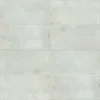 Icon Silver