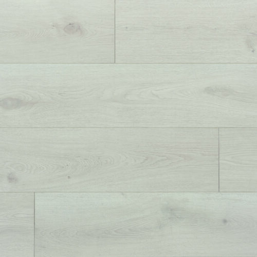 MCS-3115-Snowdrop-2-scaled Snowdrop