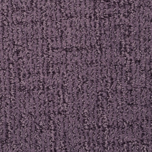 Cape Cod in Plum