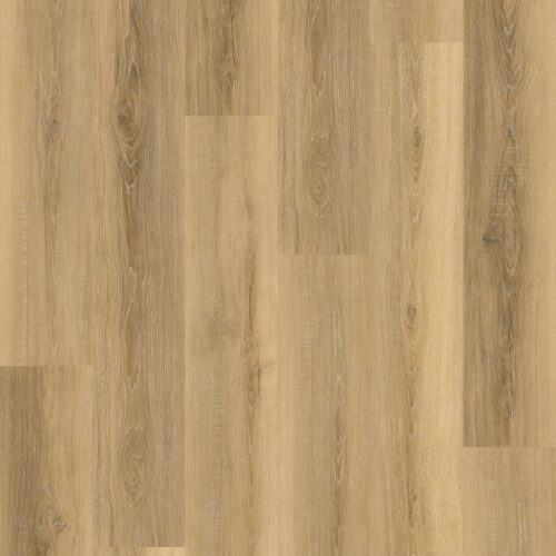 NC4911-Layout-min-scaled Oxford