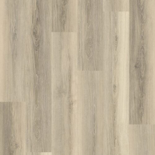 NC4913-Layout-min-scaled High Garden