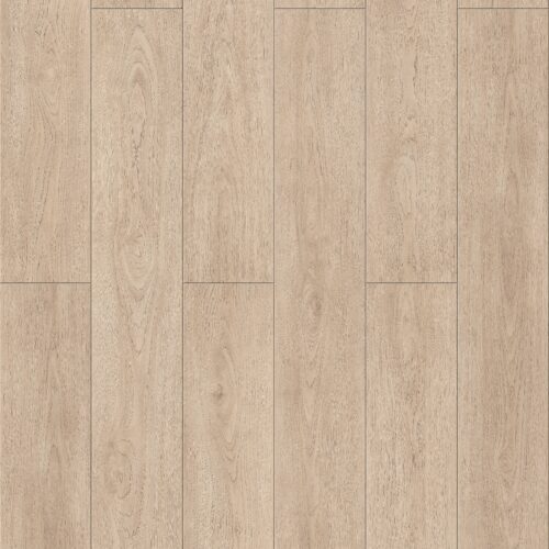 Maple Ash