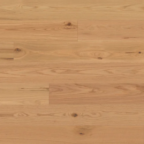 RED OAK LIGHT