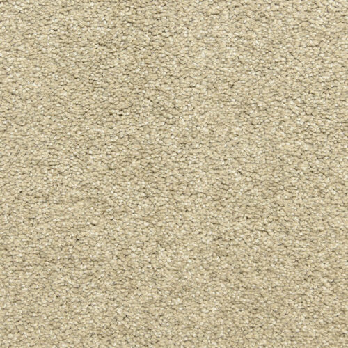 Star_20Power_D020-33472_4df730a1-9461-4068-8ada-c7035e747f1c_700x700 Star Power in Touch Of Grey