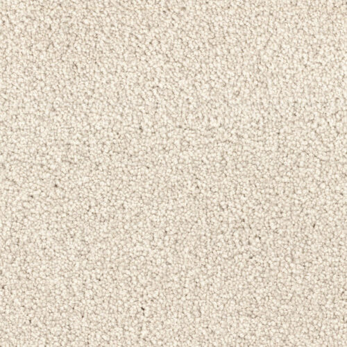 Summer Breeze in Dune