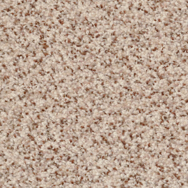 Treasured Moment in Pebble Mosaic