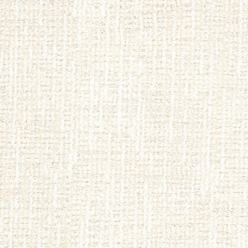 Bengal in Bobtail