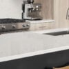 Calacatta Botanica Countertop