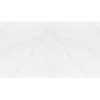 calacatta-izaro-quartz book match Calacatta Izaro Countertop