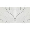 Calacatta Laza Night Countertop