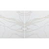 Calacatta Solessio Countertop