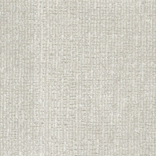 Bengal in Crème Puff