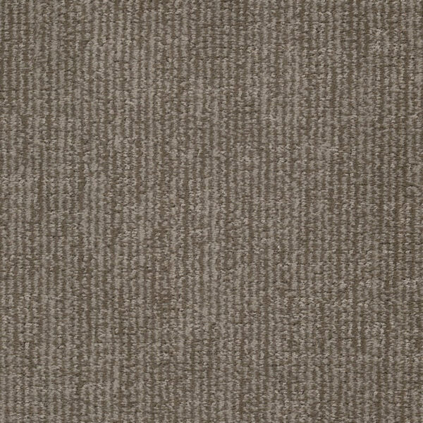 Tabby in Felicette