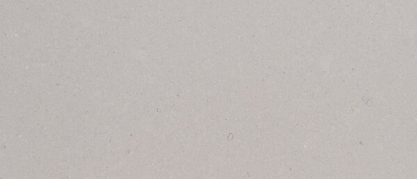Fossil Gray Countertop