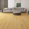 gaia-nearwood-sable-ga129373-room-port Sable