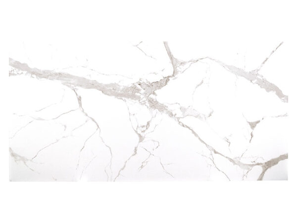 STATUARIO SILVER COUNTERTOP
