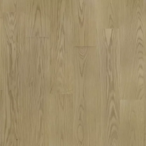 SUEDE