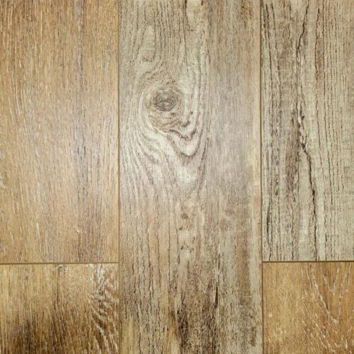 Rocky Mountain Oak