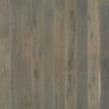 Big Sur Oak