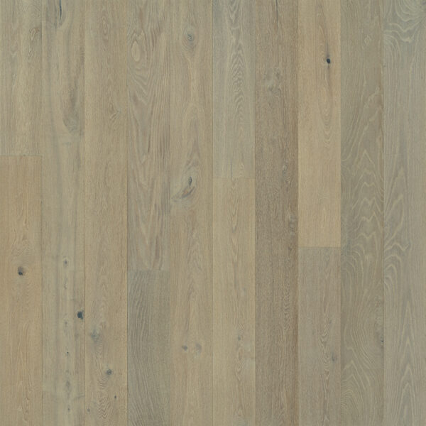 Alta-Vista-Doheny-Oak Doheny Oak