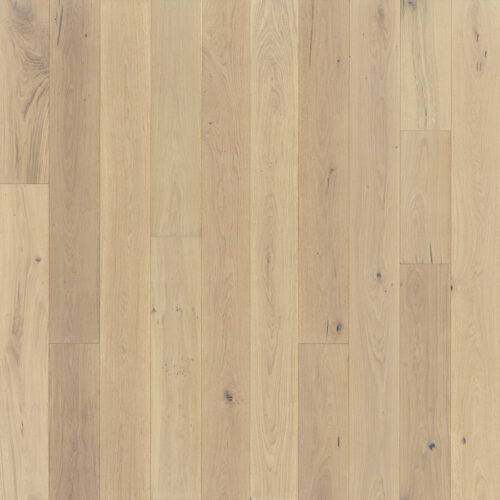 Laguna Oak