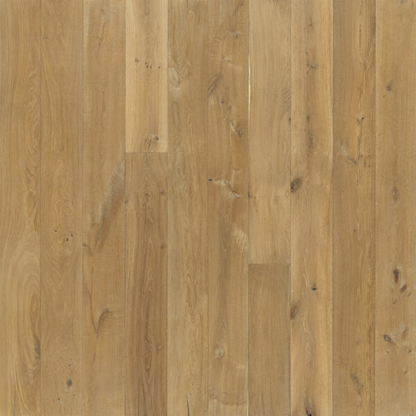 Malibu Oak
