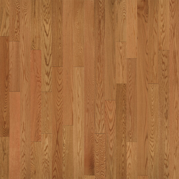 Auburn Red Oak