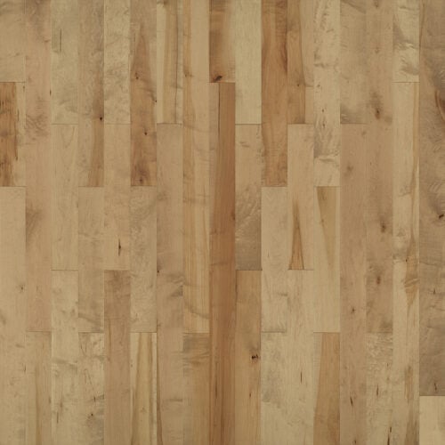 Haystack Maple