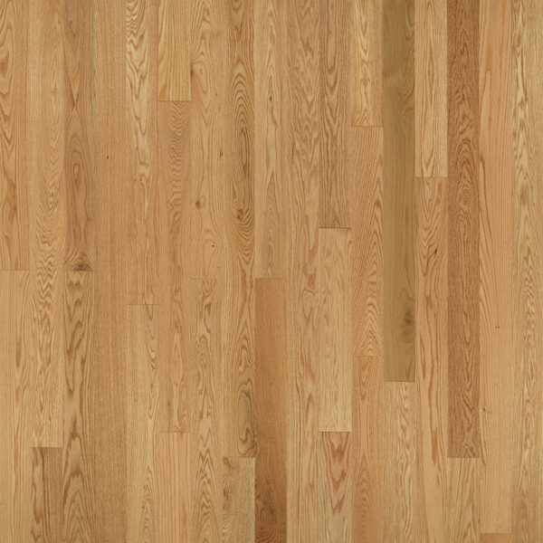 American-Traditional-Classics-Swatch-Natural-Red-Oak-325 Natural Red Oak 3 1/4"