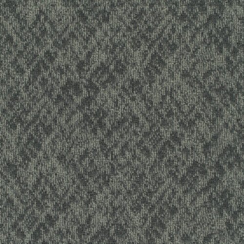 Filter 3536 Filter
