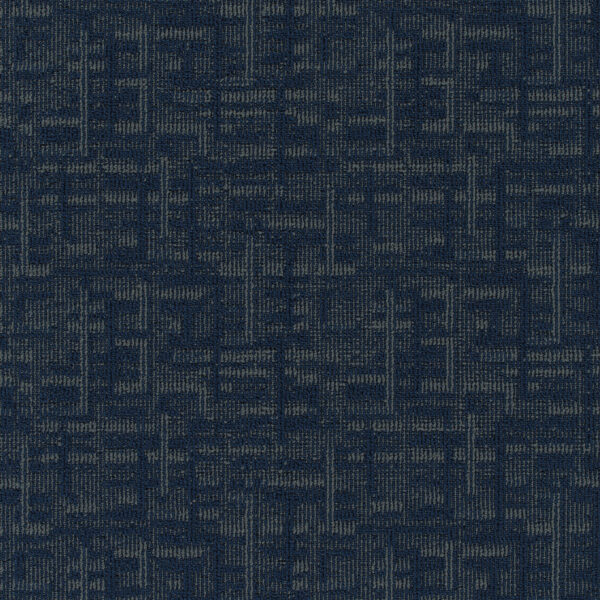 Wireframe 6651B