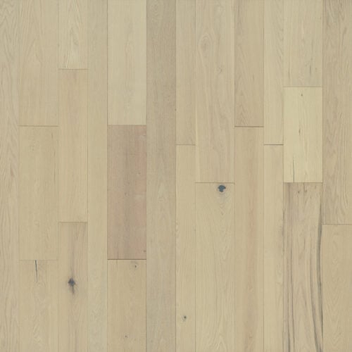 Appaloosa Red Oak