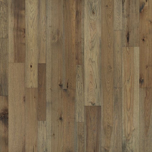 Palomino Hickory