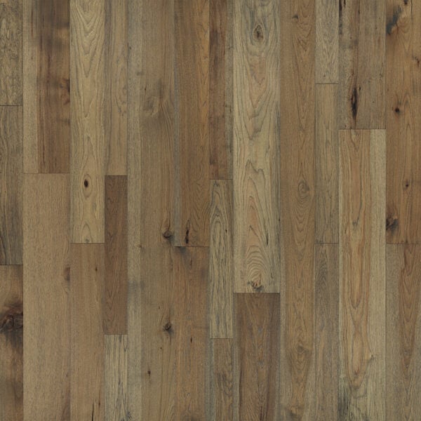 Palomino Hickory