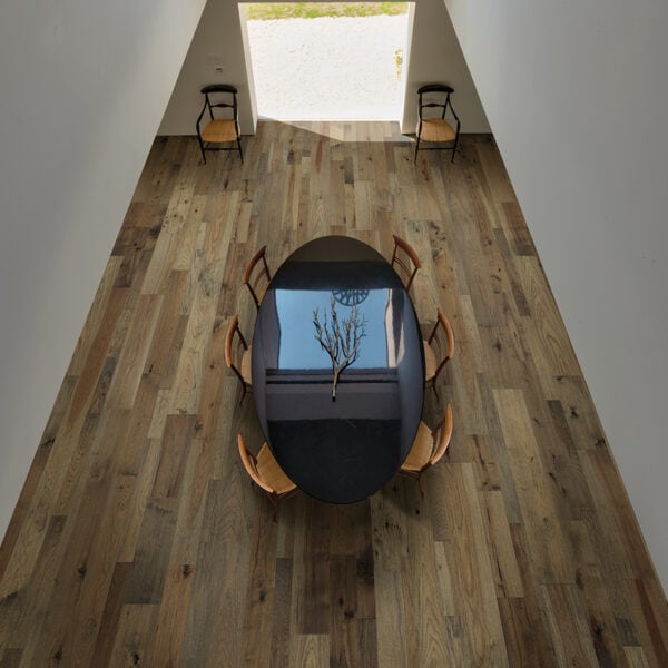 Palomino Hickory